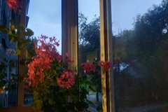 Екатеринбург, ул. Бородина, 5 (Химмаш) - фото квартиры