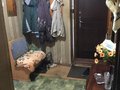 Продажа квартиры: г. Арамиль, ул. 1 Мая, 79А (городской округ Арамильский) - Фото 1
