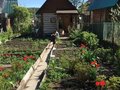 Продажа садового участка: Екатеринбург, Колдективный сад 