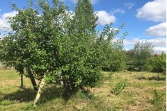п. Крылатовский, ул. Первомайская, 22 (городской округ Ревда) - фото дома