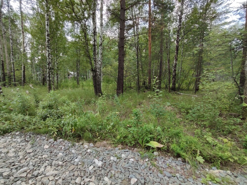 п. Растущий, ул. Багамы, 1 (городской округ Белоярский) - фото земельного участка (2)