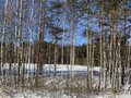 Продажа земельного участка: с. Курганово (городской округ Полевской) - Фото 1