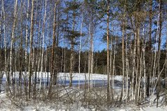 с. Курганово (городской округ Полевской) - фото земельного участка