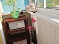 Продажа квартиры: г. Первоуральск, ул. Пролетарская, 76 (городской округ Первоуральск) - Фото 1
