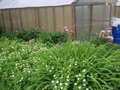 Продажа дома: д. Гилева, ул. Свердлова, 15 (городской округ Белоярский) - Фото 1
