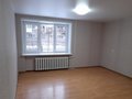 Екатеринбург, ул. Коммунальная, 33 (Старая Сортировка) - фото квартиры