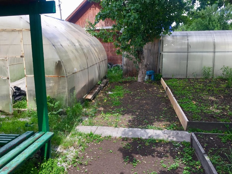 г. Березовский, КС №38 (городской округ Березовский) - фото сада (6)
