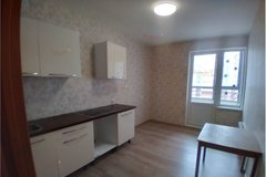 Екатеринбург, ул. Шаманова, 60 (Академический) - фото квартиры