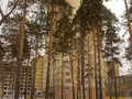 Продажа квартиры: Екатеринбург, ул. Коуровская, 13 (Старая Сортировка) - Фото 1