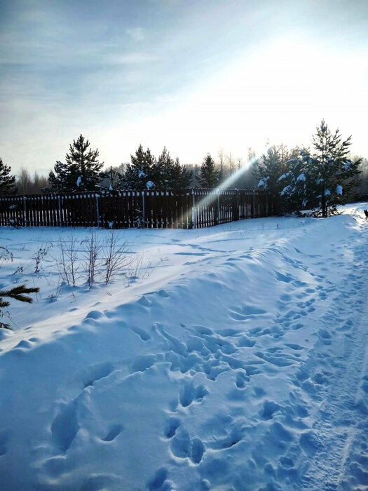 с. Логиново (городской округ Белоярский) - фото земельного участка (4)