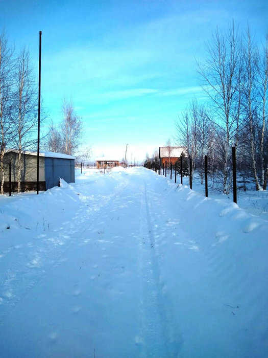 с. Логиново (городской округ Белоярский) - фото земельного участка (3)