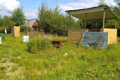п. Лосиный, СНТ Лосинка (городской округ Березовский) - фото сада