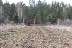 с. Кашино, СНТ Золотое поле (городской округ Сысертский) - фото сада