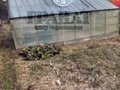 Продажа садового участка: г. Первоуральск, СНТ №22 (городской округ Первоуральск) - Фото 1