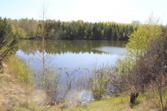 с. Мезенское (городской округ Заречный) - фото земельного участка