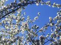 Продажа дома: д. Поварня, ул. Ленина, 70 (городской округ Белоярский) - Фото 3