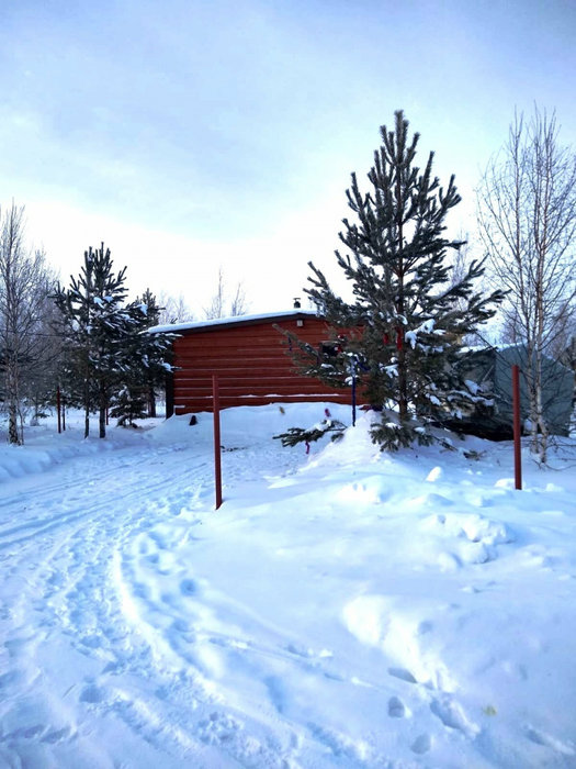 с. Логиново (городской округ Белоярский) - фото земельного участка (4)