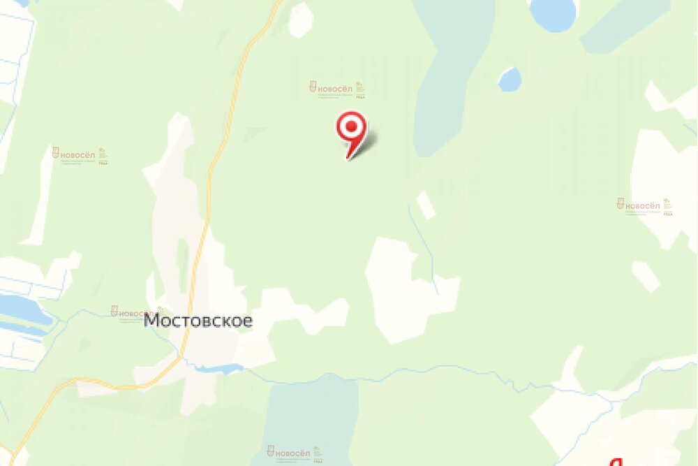 с. Мостовское, СНТ Оазис, уч. 91 (городской округ Верхняя Пышма) - фото сада (1)