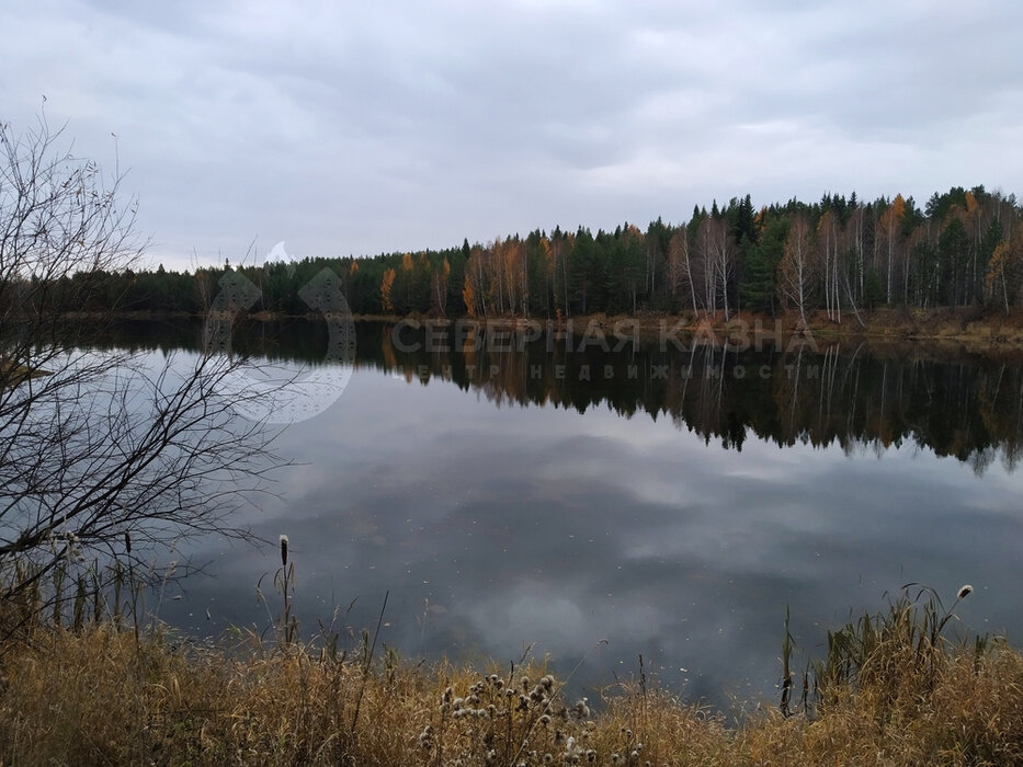 с. Кунара, ул. Чапаева, 21 (городской округ Невьянский) - фото земельного участка (4)