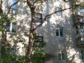 Продажа квартиры: Екатеринбург, ул. Корепина, 17 (Эльмаш) - Фото 1