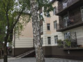 Продажа квартиры: г. Арамиль, ул. Рабочая, 122 (городской округ Арамильский) - Фото 1