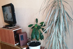 г. Ревда, ул. Спартака, 11 (городской округ Ревда) - фото квартиры