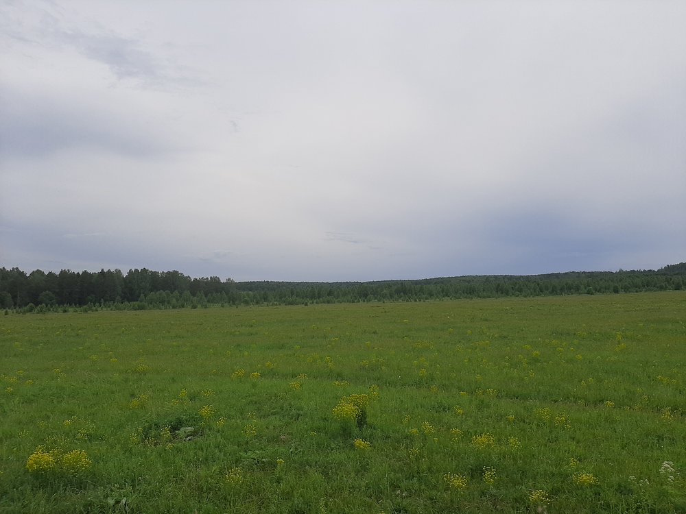 Екатеринбург, ул. Ленина, 1 - фото готового бизнеса (4)