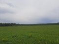 Продажа бизнеса: Екатеринбург, ул. Ленина, 1 - Фото 4