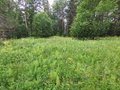 Продажа земельного участка: с. Курганово (городской округ Полевской) - Фото 1