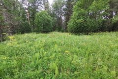 с. Курганово (городской округ Полевской) - фото земельного участка