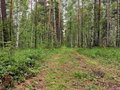 Продажа земельного участка: с. Курганово (городской округ Полевской) - Фото 1
