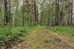 с. Курганово (городской округ Полевской) - фото земельного участка