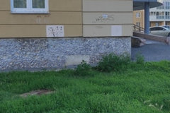 Екатеринбург, ул. Билимбаевская, 25к2 (Старая Сортировка) - фото квартиры