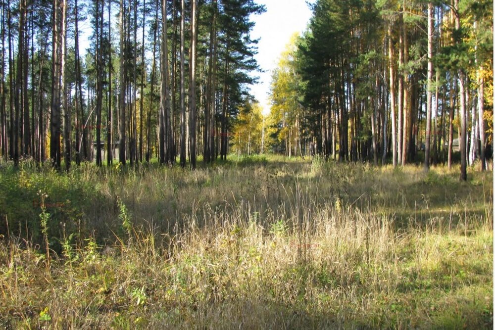 Купить Участок В Белоярском Районе