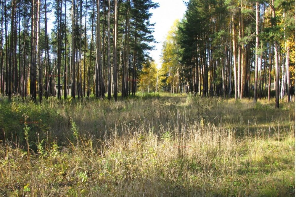 поселок городского типа Белоярский, ул. Калинина (городской округ Белоярский) - фото земельного участка (2)