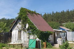 с. Кашино, СНТ Колос (городской округ Сысертский) - фото сада