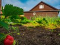 Продажа дома: п. Монетный, ул. Сосновая, 16А (городской округ Березовский) - Фото 1