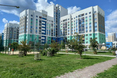 Екатеринбург, ул. Краснолесья, 141 (Академический) - фото квартиры