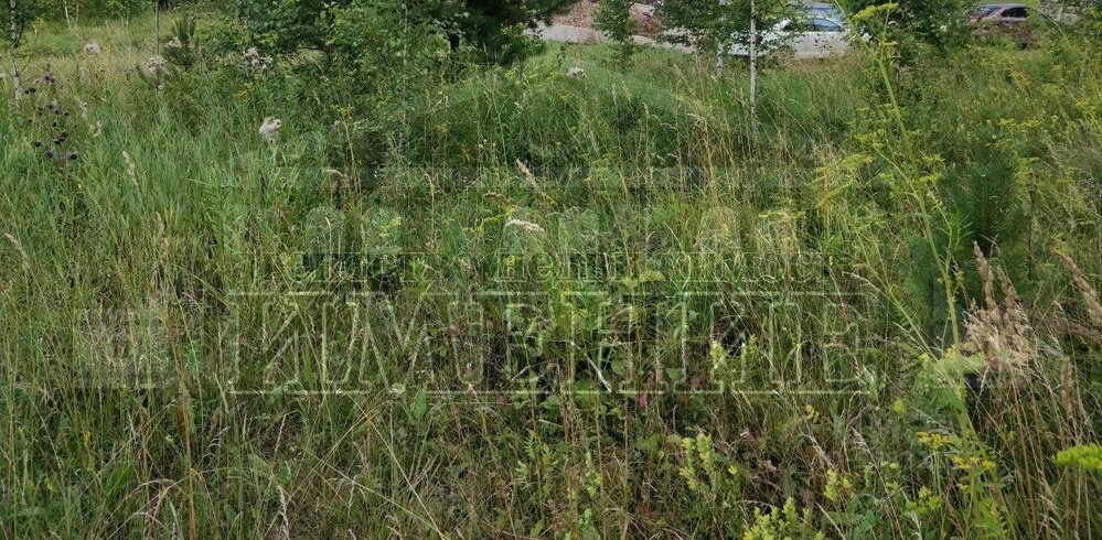 г. Ревда, ул. Фрунзе (городской округ Ревда) - фото земельного участка (1)