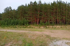 д. Поварня, ул. Кленовая, 23 (городской округ Белоярский) - фото земельного участка