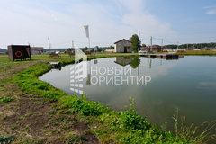 к.п. Александрия, ул. Двенадцатая, 8 (городской округ Белоярский, д. Гусева) - фото земельного участка