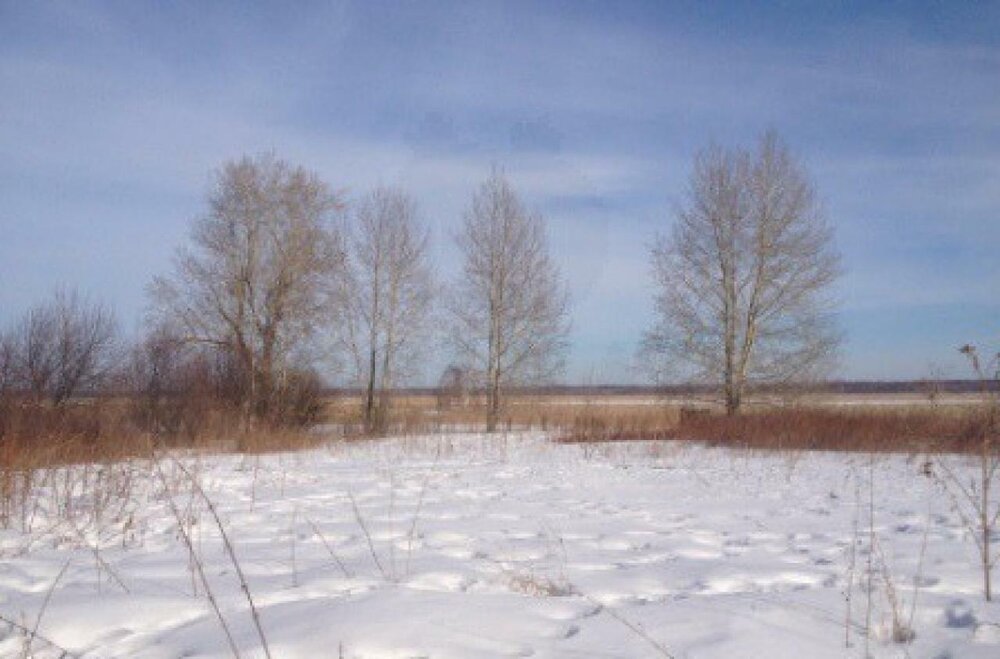 д. Старикова, ул. Комарова, 13 (городской округ Каменский) - фото земельного участка (3)