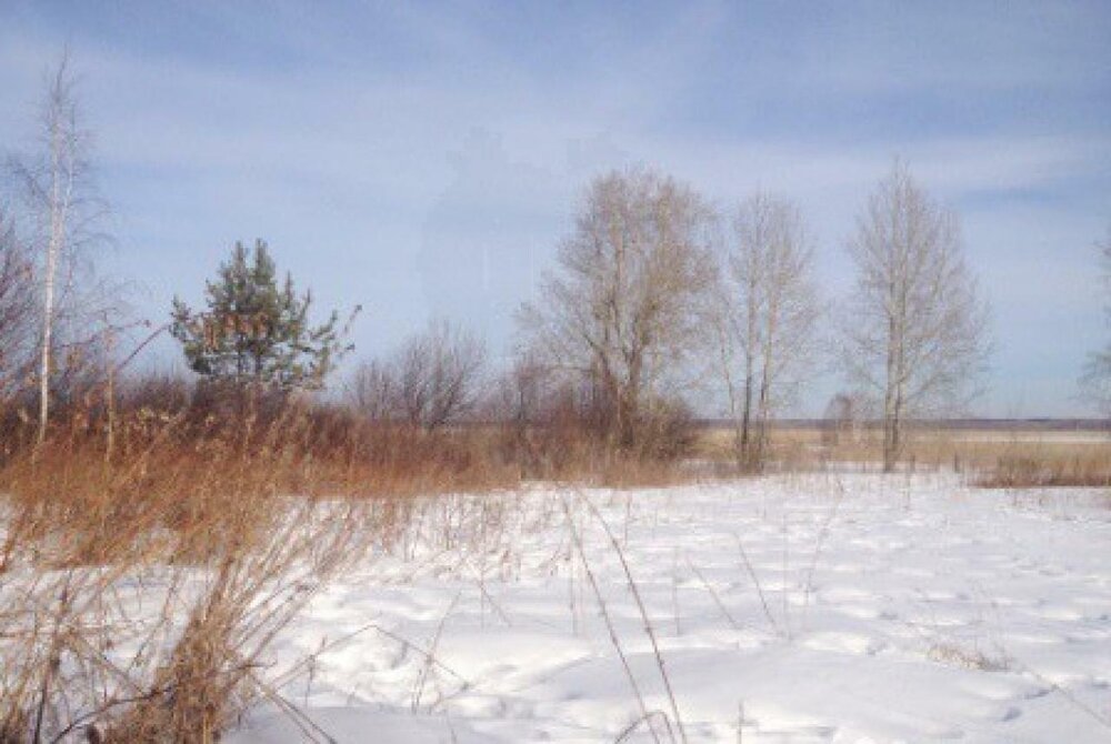 д. Старикова, ул. Комарова, 13 (городской округ Каменский) - фото земельного участка (5)