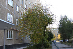 Екатеринбург, ул. Июльская, 39/2 (Пионерский) - фото квартиры