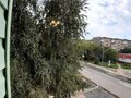 Продажа квартиры: г. Нижний Тагил, ул. Сибирская, 109 (городской округ Нижний Тагил) - Фото 1