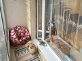 Продажа квартиры: Екатеринбург, ул. Сулимова, 41 (Пионерский) - Фото 1