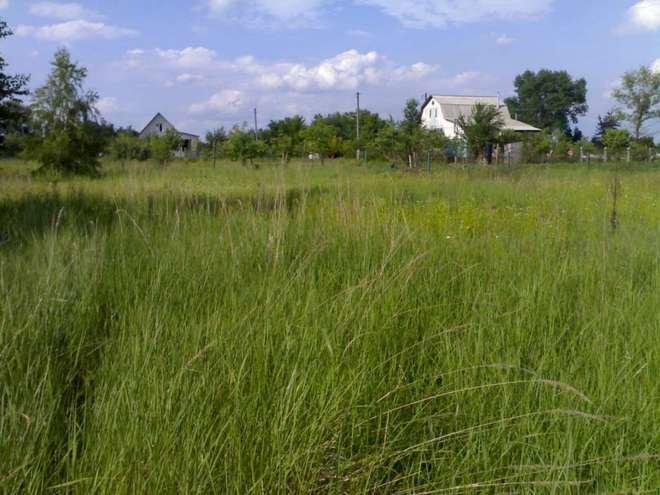 г. Камышлов, ул. Полевая, 2г (городской округ Камышловский) - фото земельного участка (1)