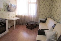 Екатеринбург, ул. Мичурина, 132 (Центр) - фото квартиры