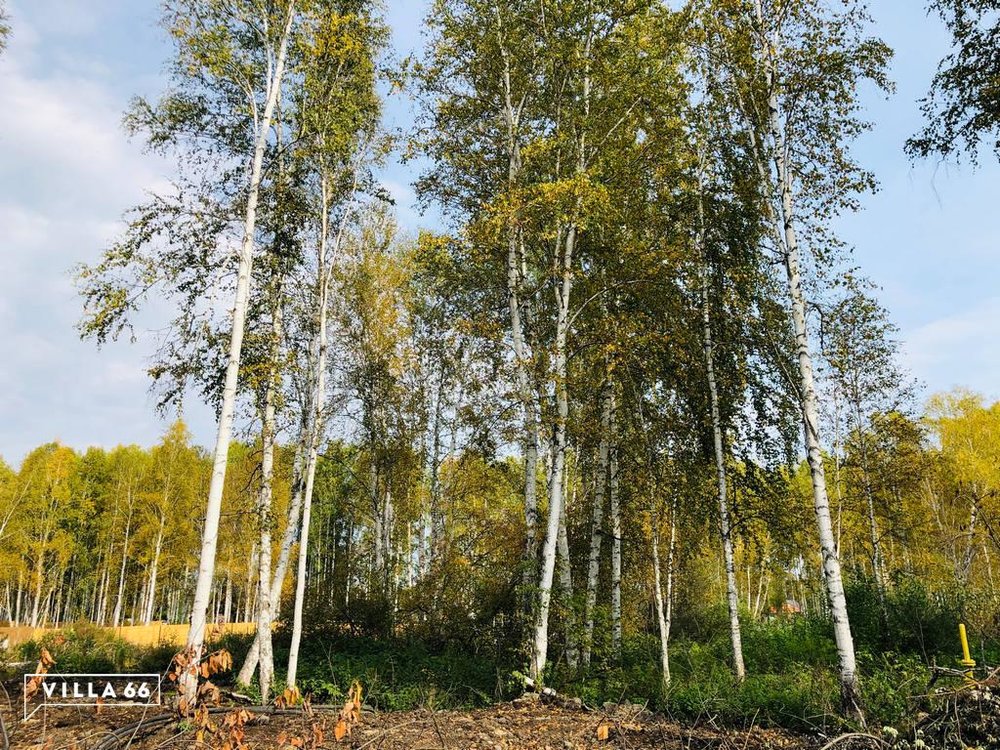 к.п. Заповедник, ул. Косуля, 133 (городской округ Сысертский, п. Габиевский) - фото земельного участка (1)