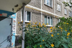 Екатеринбург, ул. Крауля, 83 (ВИЗ) - фото квартиры